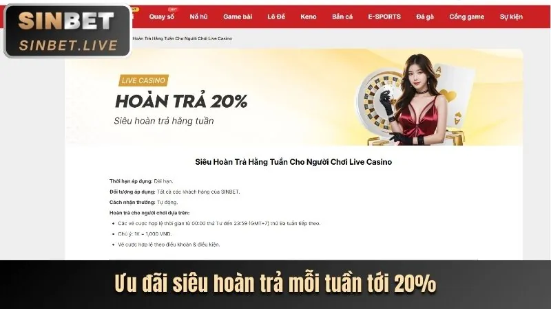 Hoàn trả hàng ngày cho cược đá gà